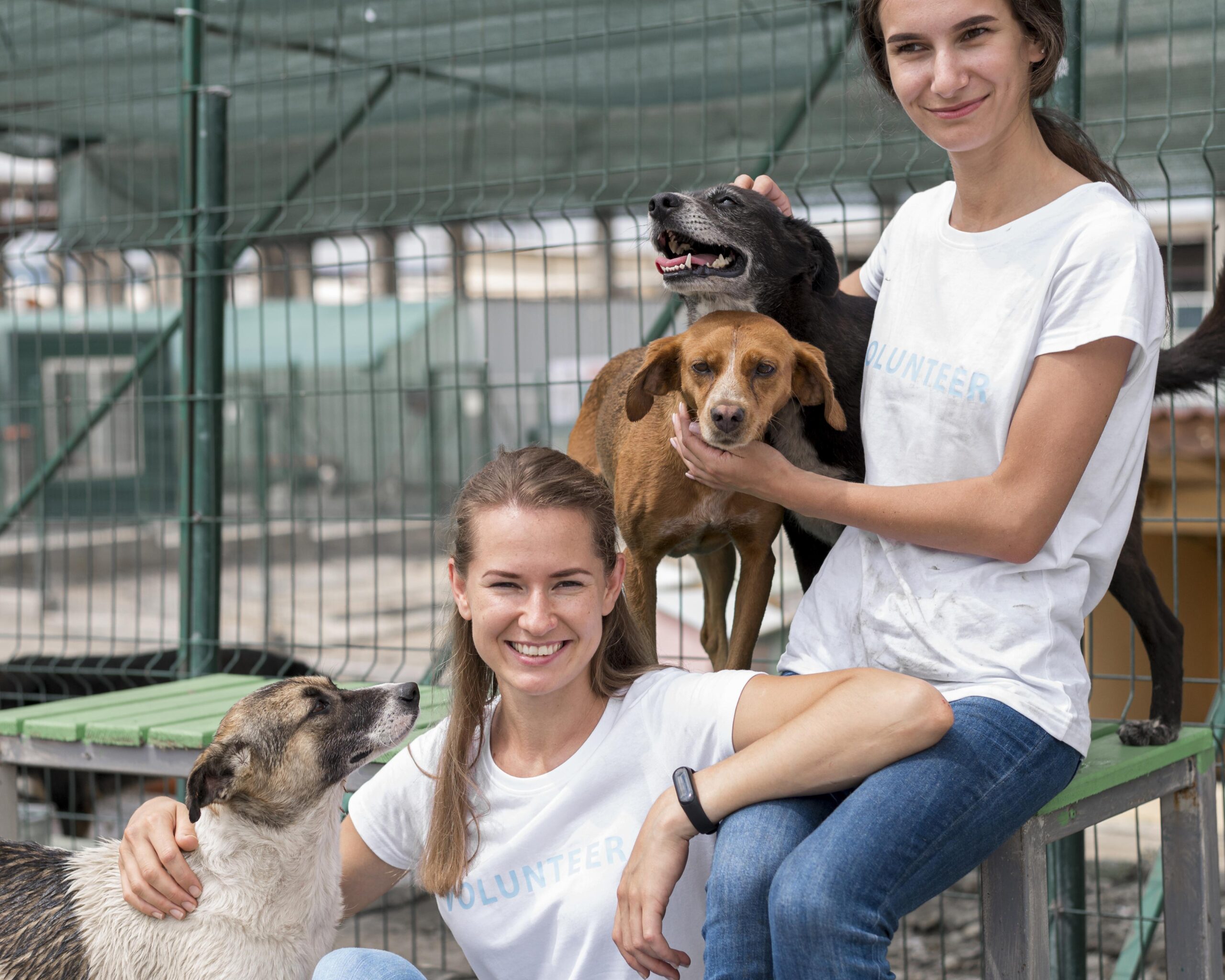 smiley-woman-spending-time-with-cute-rescue-dogs-shelter